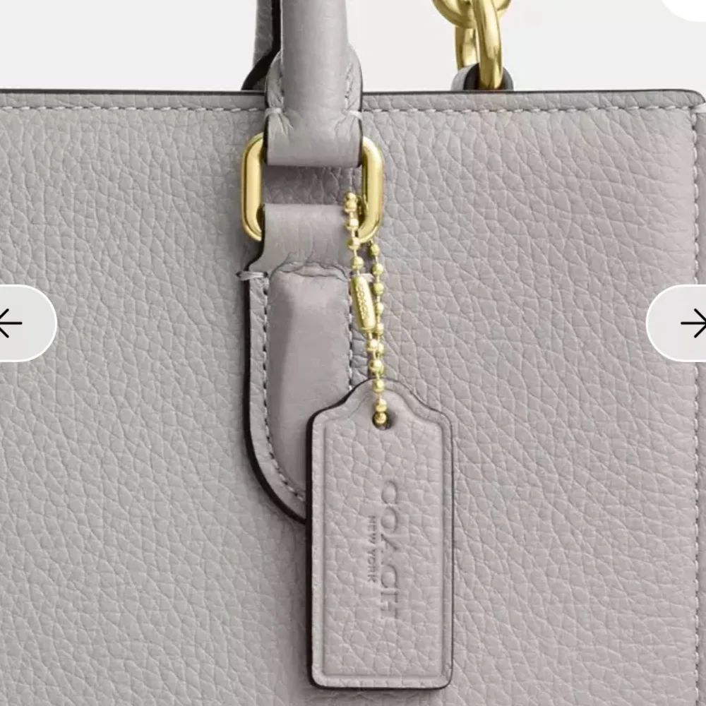Coach Maggie Small Tote Bag